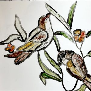 Vogels